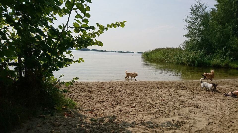 Erkemederstrand Zeewolde losloopgebieden Welkoop